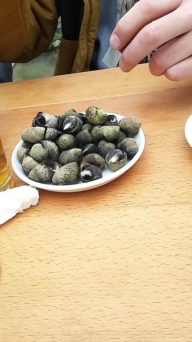 Caracoles