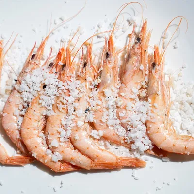 Langostinos a la plancha en Ventorrillo El Chato