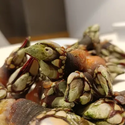 Percebes en Bar FM