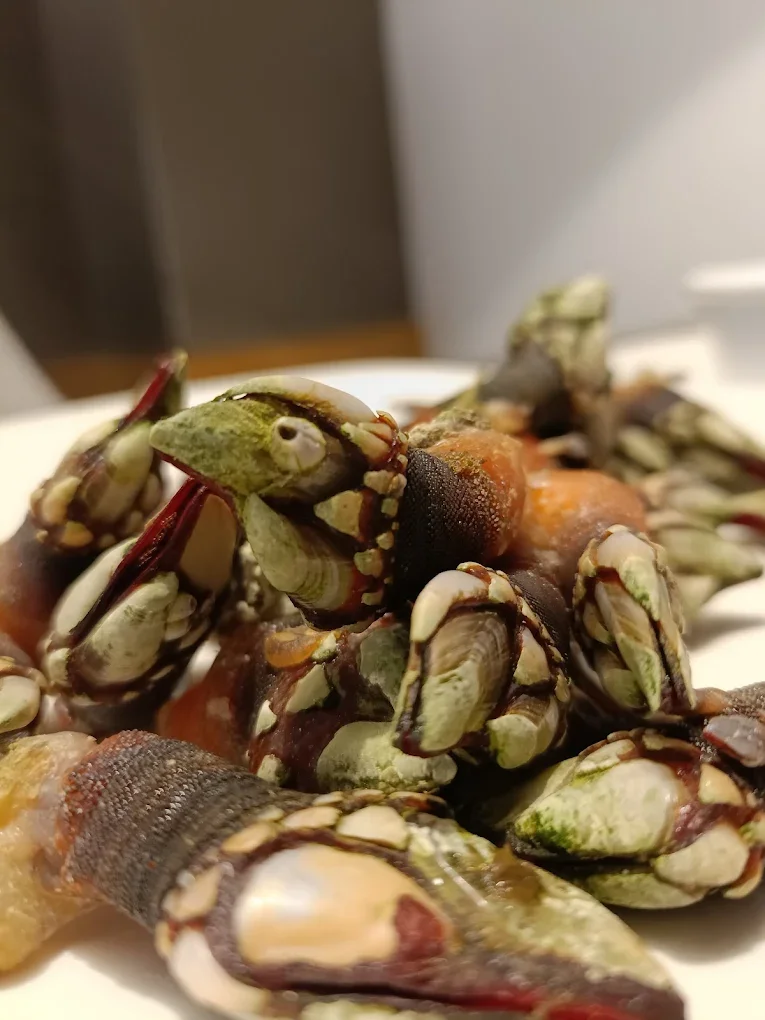 Percebes