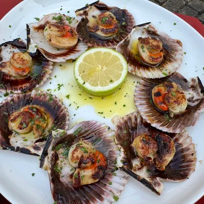 Foruko Taberna