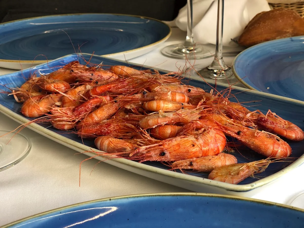 Taberna Eloy - photo 10 of 10