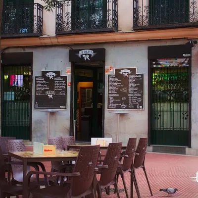 Bar La Oliva