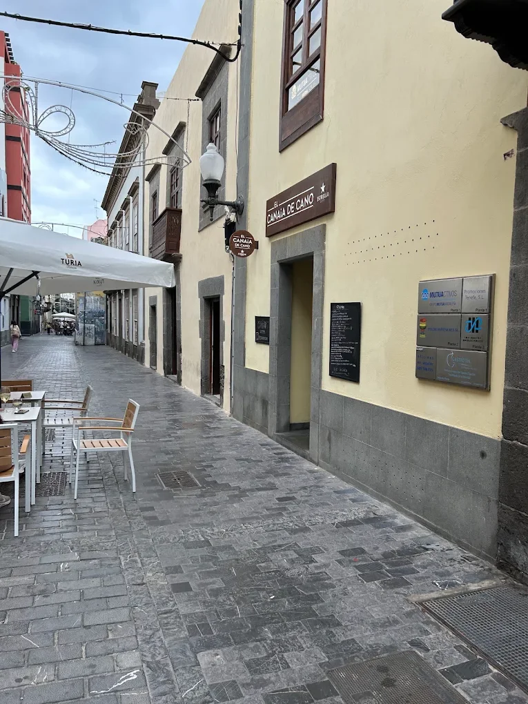 El Canaia de Cano